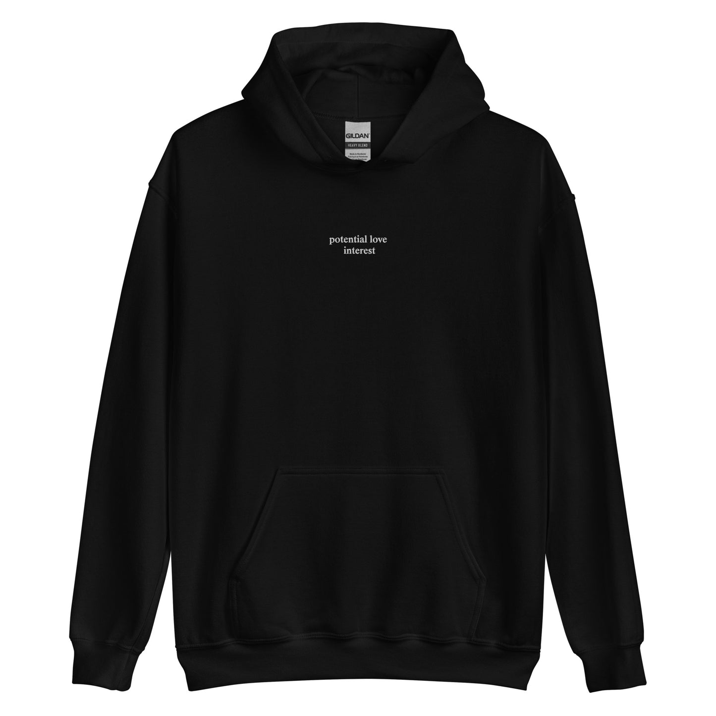 potential love Interest Hoodie