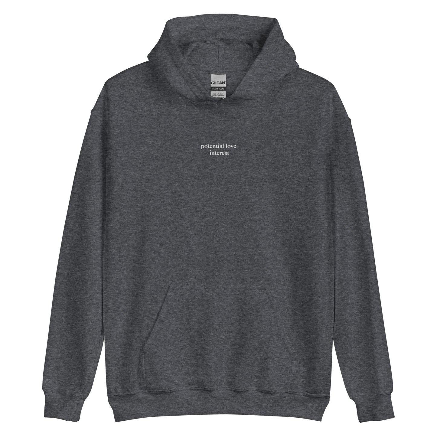 potential love Interest Hoodie