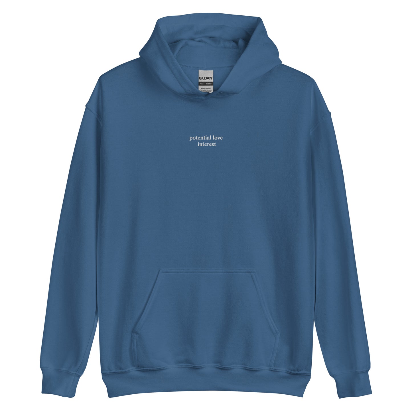 potential love Interest Hoodie