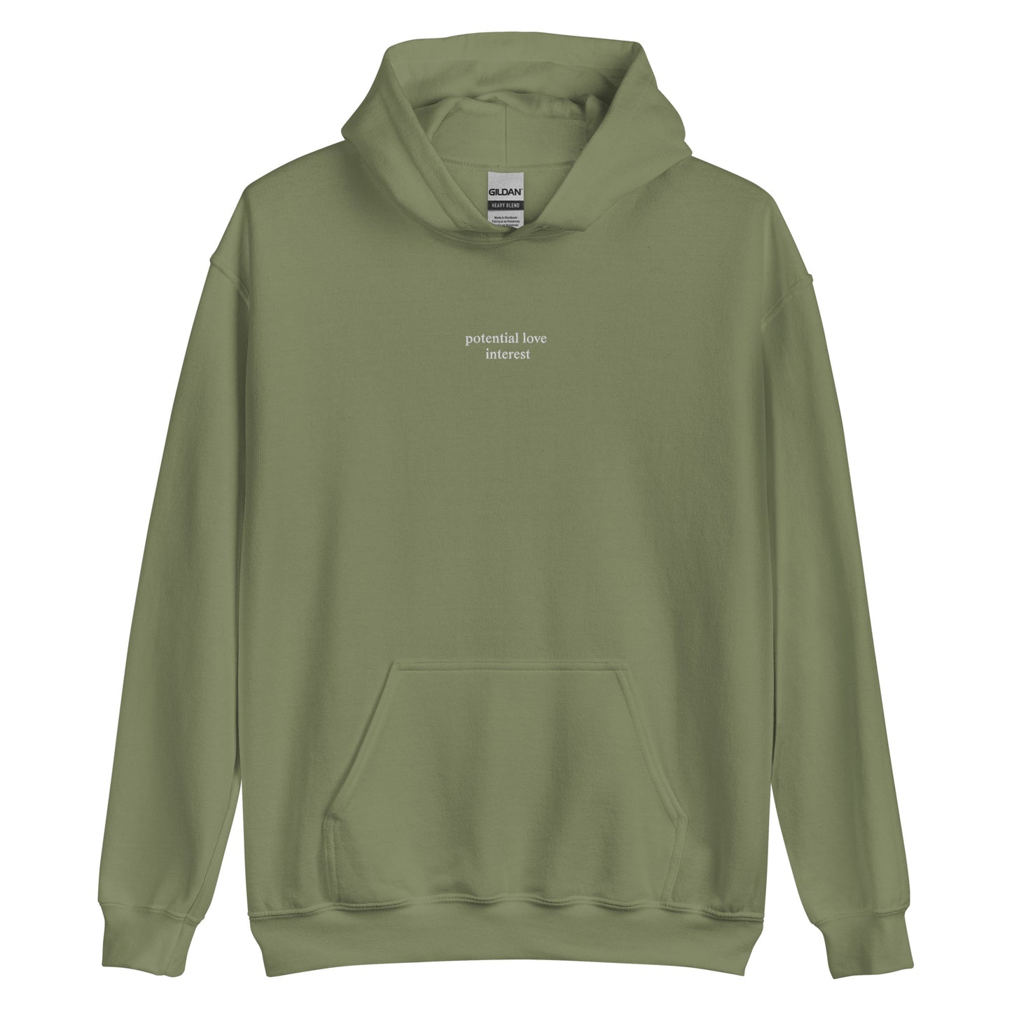potential love Interest Hoodie