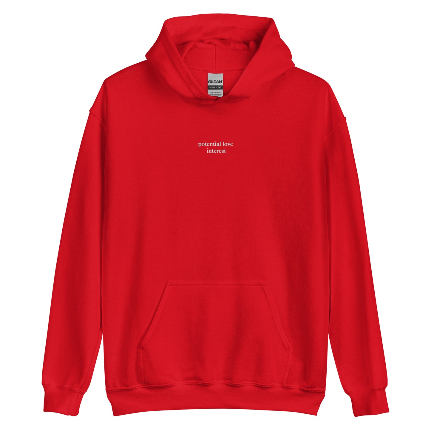 potential love Interest Hoodie